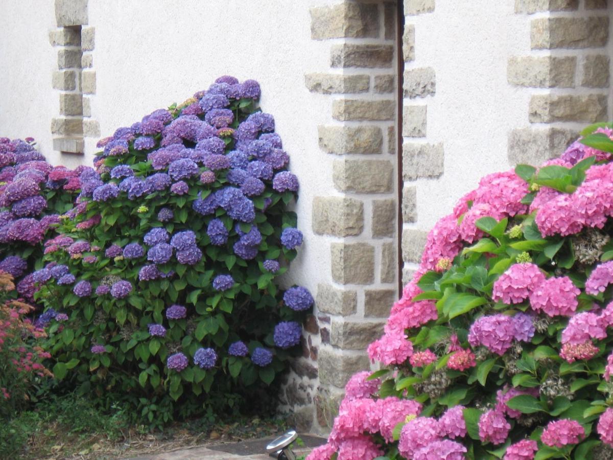 Perrault Gites Loscouet-sur-Meu Exterior foto